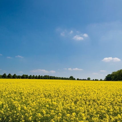 Photo of Tofield community