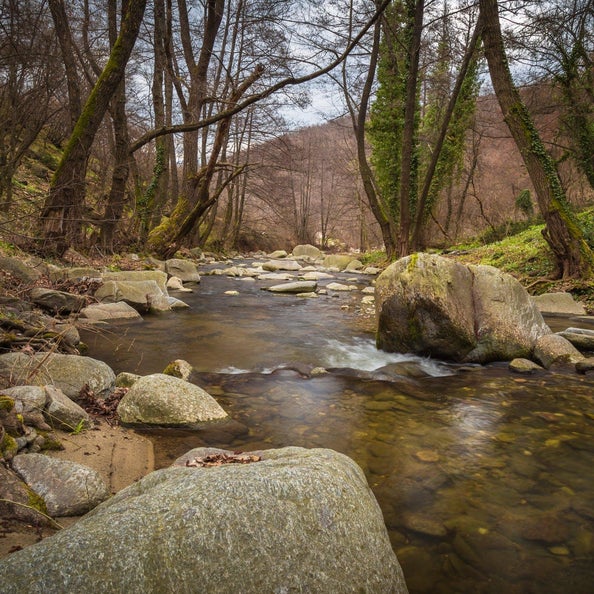 Photo of MaxWell Canyon Creek office