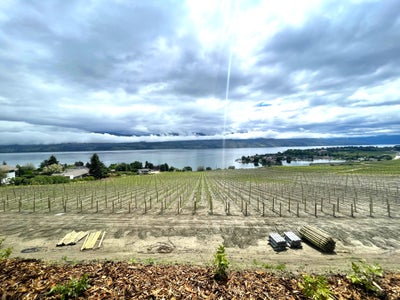 MaxWell Rockies Realty (Kelowna)