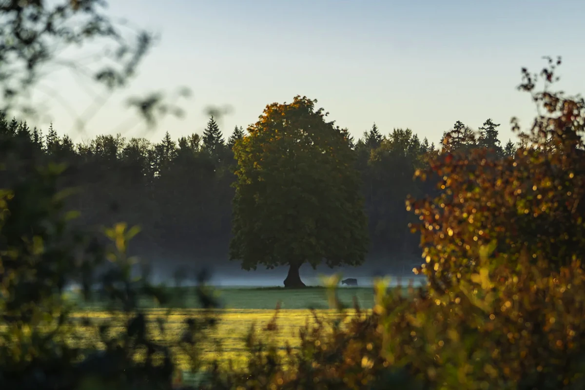 Modern Residential Property Image
